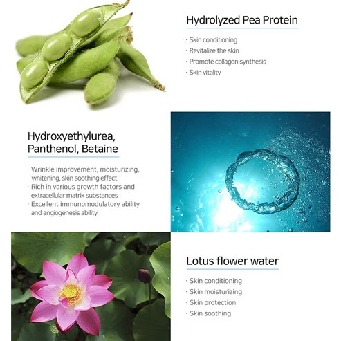 MATRIGEN: Hydra Cellular Ampoule (50ML / Per BOX)